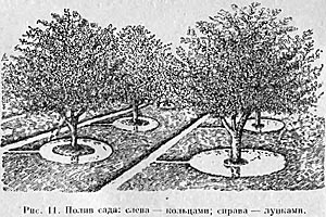Варианты полива сада — Домоводство, 1957 г.