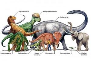 А не сохранились ли где-либо на Земле самые настоящие динозавры?
