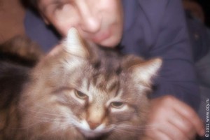 Новогодние фото с котом Степаном.