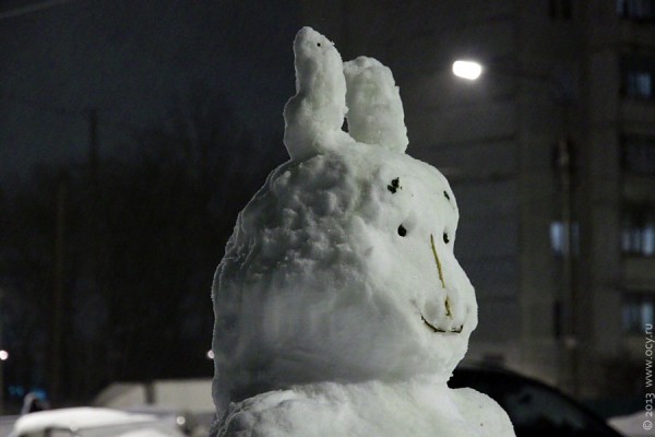 Голова снежного зайца.