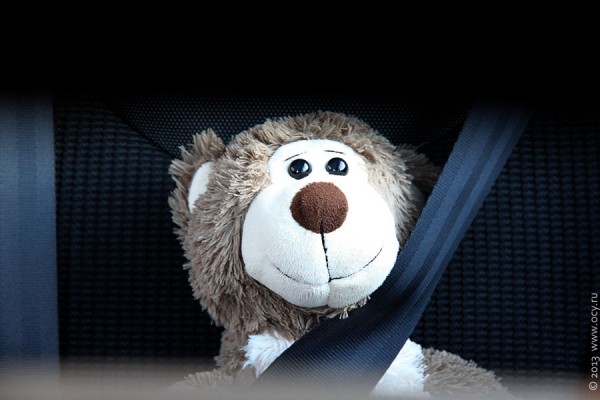 Сидящий медведь в автомобиле за ремнём безопасности.