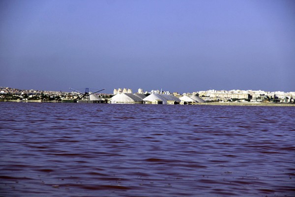Соль на берегу Салинас де Торревьеха.